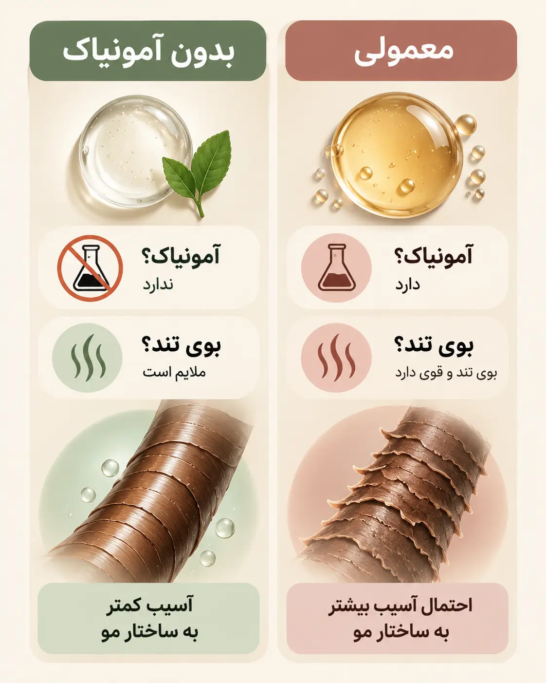 اینفوگرافی فرق سیستم رنگ بدون آمونیاک با سیستم معمولی
